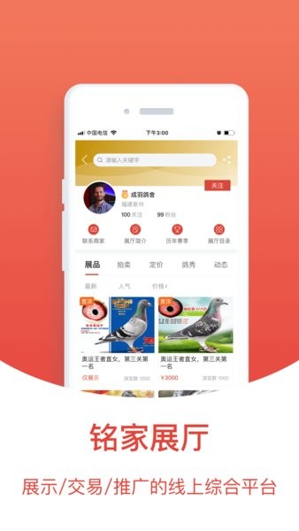 搜鸽天下-赛鸽头条重磅升级