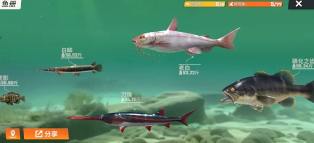 洪湖全图鉴