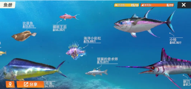 金沙全图鉴