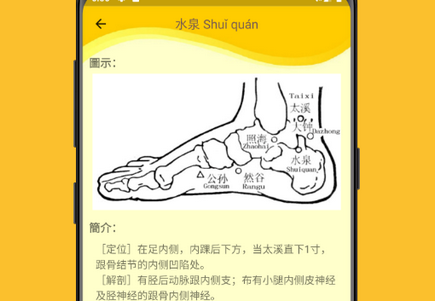 人体穴位图解
