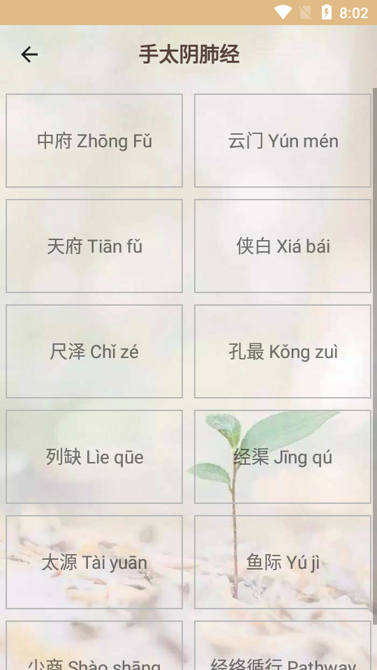 人体穴位图解