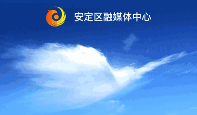 魅力安定客户端