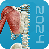 3D肌肉解剖最新安卓版app v1.0