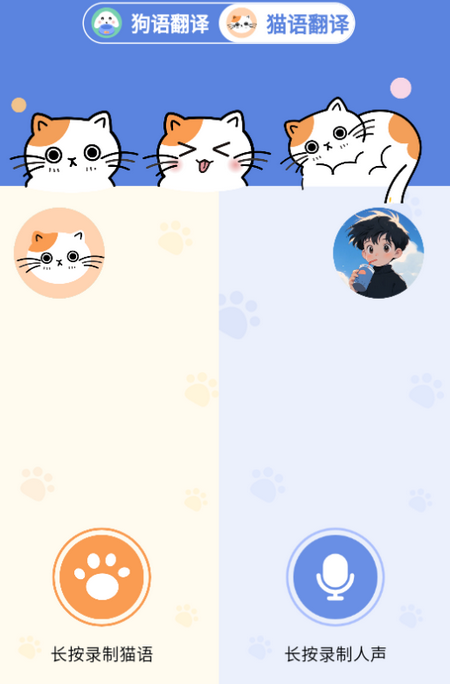 小白交流翻译