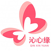 沁心缘小说v1.4最新版