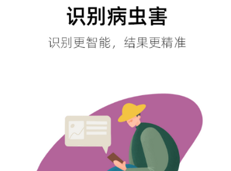 植小保