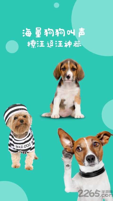 狗语翻译免费版界面截图预览(2)