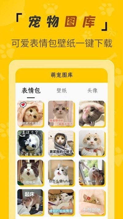 人猫翻译机软件